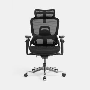 Ghế công thái học HyperWork Flow HPW-OC05-BLK Đen