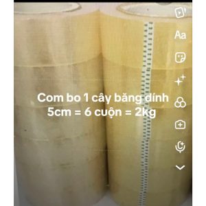 Băng dính 300Y 5cm đục (6 cuộn/ cây)