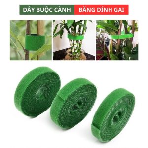 Băng dính giấy 5M - 1,2cm (30C/CÂY)