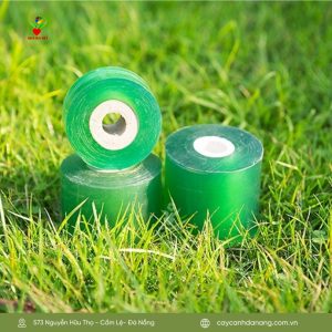 Băng dính nilon xanh 7cm (4 cuộn/ cây )