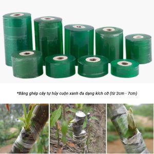 Băng dính nilon xanh 7cm (4 cuộn/ cây )