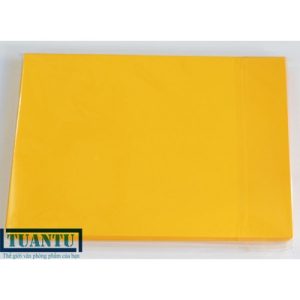 Bìa màu One A3 Vàng -160