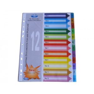 Chia FILE nhựa 12 màu có số