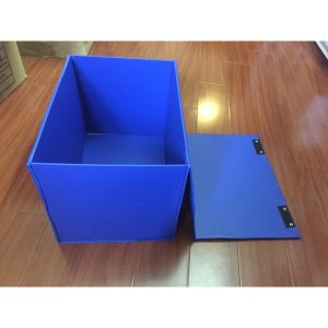 File Hộp dán 25F