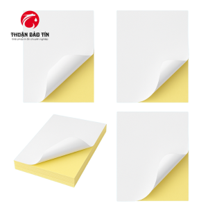 Giấy Decal A4 đế vàng 100T/Xấp