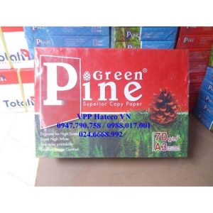 Giấy Photo Green Pine A3 ĐL70