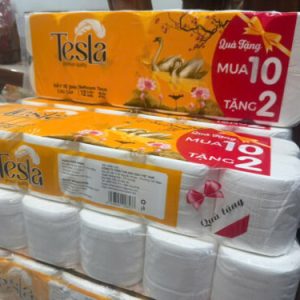 Giấy Vệ Sinh Tesla không lõi (10 cuộn/bịch)