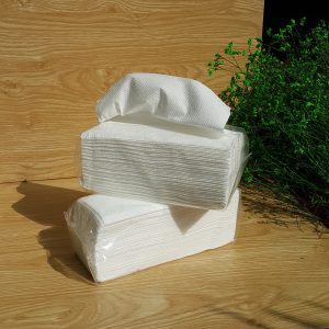 Khăn Giấy Lau Tay SV2