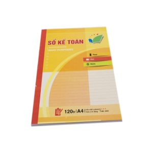 Sổ kế toán tổng hợp 120T