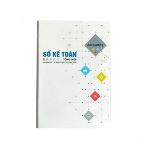 Sổ kế toán tổng hợp 300T