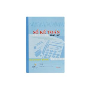 Sổ kế toán tổng hợp 300T