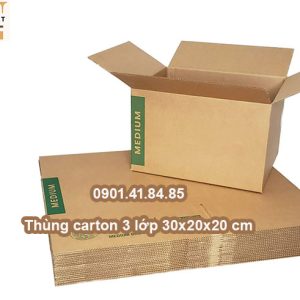 Thùng carton 3 lớp 30*30*20