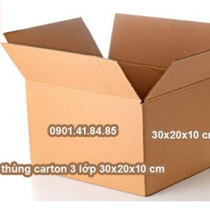 Thùng carton 3 lớp 30*30*20