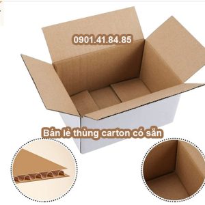 Thùng carton 3 lớp 30*30*20